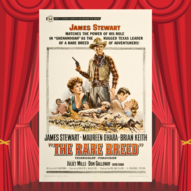 The Kid from Cleveland poster